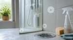 Ces insectes adorent votre salle de bain : cette habitude de 10 minutes évite l’invasion pour de bon