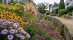 Ces vivaces à planter fin août transforment votre massif : encore en fleurs quand les voisins ont tout rasé