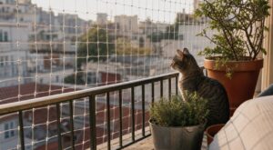 Chat stressé sur le balcon : ce filet discret change tout, à condition d&rsquo;éviter cette erreur fatale à l&rsquo;installation