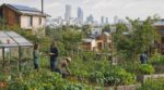 Citadins en manque de nature : ce concept d’écolieu fait rêver… mais peut tout faire basculer si vous foncez