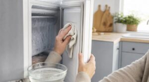 Congélateur qui regivre sans arrêt : ce geste sur le joint a stoppé la glace et fait chuter la facture d&rsquo;électricité