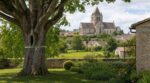 Couper un arbre dans votre jardin : cette règle des 500 m près de l’église peut vous coûter très, très cher