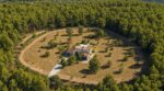 Débroussaillement : cette règle des 50 mètres autour de votre maison cache un détail qui peut vous ruiner
