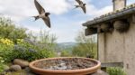 Disparition des hirondelles : ce geste tout bête avec la boue de votre jardin peut vraiment les sauver