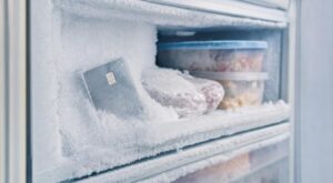 Facture d’électricité : si cette carte de votre portefeuille flotte dans le givre, le congélateur fait exploser la note
