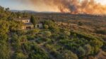 Feux de forêt : ce type de potager a sauvé une maison des flammes, le réflexe à adopter d&rsquo;urgence cet été