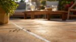 Fourmis sur la terrasse : ce simple accessoire d&rsquo;écolier les arrête net, sans un gramme de produit chimique