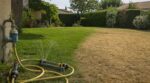 Gazon jaune, eau gaspillée : ces 5 erreurs que font tous les Français en été ruinent leur pelouse sans le savoir