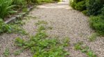 Géotextile sous l’allée de gravier : cette erreur d’entretien ramène les mauvaises herbes et vous oblige à tout refaire