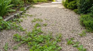 Géotextile sous l’allée de gravier : cette erreur d’entretien ramène les mauvaises herbes et vous oblige à tout refaire