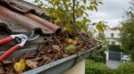 Gouttière bouchée par l&rsquo;arbre du voisin : cette erreur avec votre sécateur peut vous coûter très cher en justice