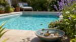 Guêpes et abeilles envahissent votre piscine : ces gestes tout bêtes évitent piqûres et insecticides tout l’été