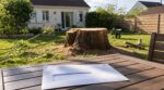 Il abat le vieux chêne de son jardin pour retrouver la lumière : deux mois après, ce courrier de la mairie le refroidit