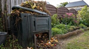 Il m’avait juste demandé de nourrir son chat : ce compost de voisin cache cette erreur à éviter avec les biodéchets