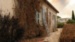 Incendies : ces plantations près de la maison que les pompiers supplient de couper avant septembre pour éviter le pire