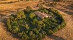 Incendies d’été : ce potager que les anciens plaçaient toujours ici peut sauver votre maison du feu