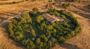 Incendies d’été : ce potager que les anciens plaçaient toujours ici peut sauver votre maison du feu