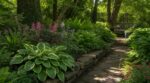 Jardin à l&rsquo;ombre presque toute la journée : ces plantes le subliment si vous évitez cette erreur que tout le monde fait
