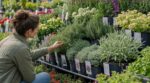 Jardin : cette confusion entre variété et cultivar vous fait acheter les mauvaises plantes sans le savoir