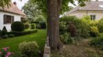 Jardin : cette erreur avec un arbre planté sur la limite peut vous piéger des décennies, selon le Code civil