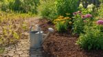 Jardin : cette erreur d’arrosage quotidien fragilise vos plantes, la règle des 3 jours change tout en pleine canicule