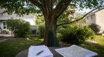 Jardin : couper cet arbre sans papier signé peut vous coûter jusqu’à 20 000 € et un conflit interminable
