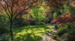 Jardin trop plat : ces arbres au feuillage lacinié façon dentelle changent tout, les pros les plantent en premier