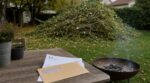Je brûlais mes tailles de haie chaque automne : 3 semaines plus tard, ce courrier d’amende m’a coupé le souffle
