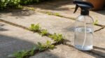 Joints de terrasse : arracher ces herbes à la main, cette erreur les fait revenir plus vite qu&rsquo;un simple spray maison