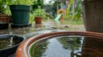 Moustique-tigre : cette simple tournée de 10 minutes dans votre jardin empêche l’invasion après chaque orage