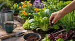Ne la jetez plus : cette poudre du petit-déjeuner peut garder votre jardin luxuriant tout l’été