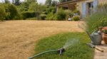 Pelouse jaune après la canicule : ces 3 tests révèlent si votre gazon dort encore… et l’arrosage qui peut le condamner