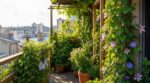Plantations tardives : ces 5 plantes grimpantes ultra rapides sauvent une terrasse nue en quelques semaines
