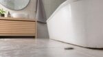 Poisson d’argent dans la salle de bains : ce message caché qui doit vous alerter sur l’état de votre logement