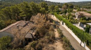 Pompiers et assurances préviennent : ces branches près de votre maison peuvent vous ruiner avant septembre