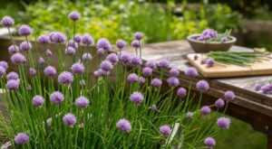 Potager : ces petites fleurs aromatiques que tout le monde jette… et tout ce que vous perdez au jardin comme en cuisine