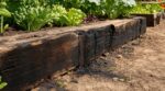Potager : cette erreur avec des bordures de récup’ fait suinter l’été un poison qui imprègne votre terre des années