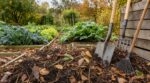 Potager : si vous faites encore ce geste après les récoltes, ce que montre un maraîcher fait froid dans le dos