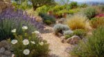 Sécheresse, canicule, restrictions d’eau : ces plantes increvables sauvent votre jardin sans arrosage ou presque