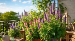 Terrasse brûlante : cette plante méconnue adore le plein soleil et cache un trésor parfumé que les jardiniers adorent