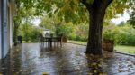 Terrasse en bois sous un tilleul : ce n&rsquo;est pas la pluie qui la rend glissante, mais cette erreur au 3e automne