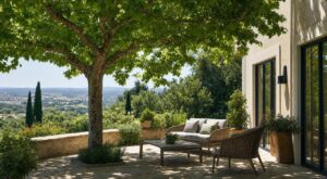 Terrasse plein sud brûlante après 14 h : cet arbre que les anciens plantaient à 3 m gardera la vôtre fraîche 40 ans