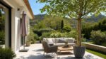 Terrasse plein sud : ceux qui plantent cet arbre à l’automne n’achètent plus jamais de parasol