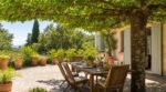 Terrasse plein sud étouffante : ce véritable arbre-parasol remplace stores et parasols en seulement deux ans