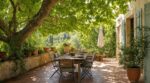 Terrasse plein sud étouffante en canicule : j’ai planté cet arbre il y a 3 ans, cet été le parasol n’a plus servi
