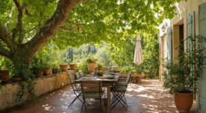 Terrasse plein sud étouffante en canicule : j’ai planté cet arbre il y a 3 ans, cet été le parasol n’a plus servi
