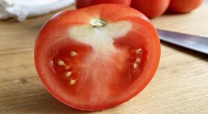Tomates avec cette zone blanche sous la peau : ce n’est pas une carence, mais cet insecte venu d’Asie