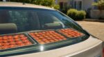 Tomates séchées : ce geste avec votre voiture en plein soleil remplace un déshydrateur, sauf si vous faites cette erreur