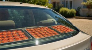 Tomates séchées : ce geste avec votre voiture en plein soleil remplace un déshydrateur, sauf si vous faites cette erreur