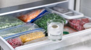 Vacances : ce simple verre laissé dans votre congélateur peut vous éviter une grave intoxication au retour